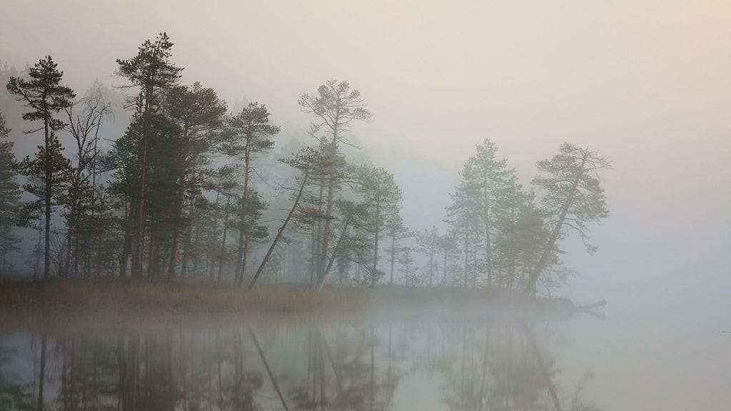 Aamu-usvaa Vaalalla Pohjois-Pohjanmaalla.