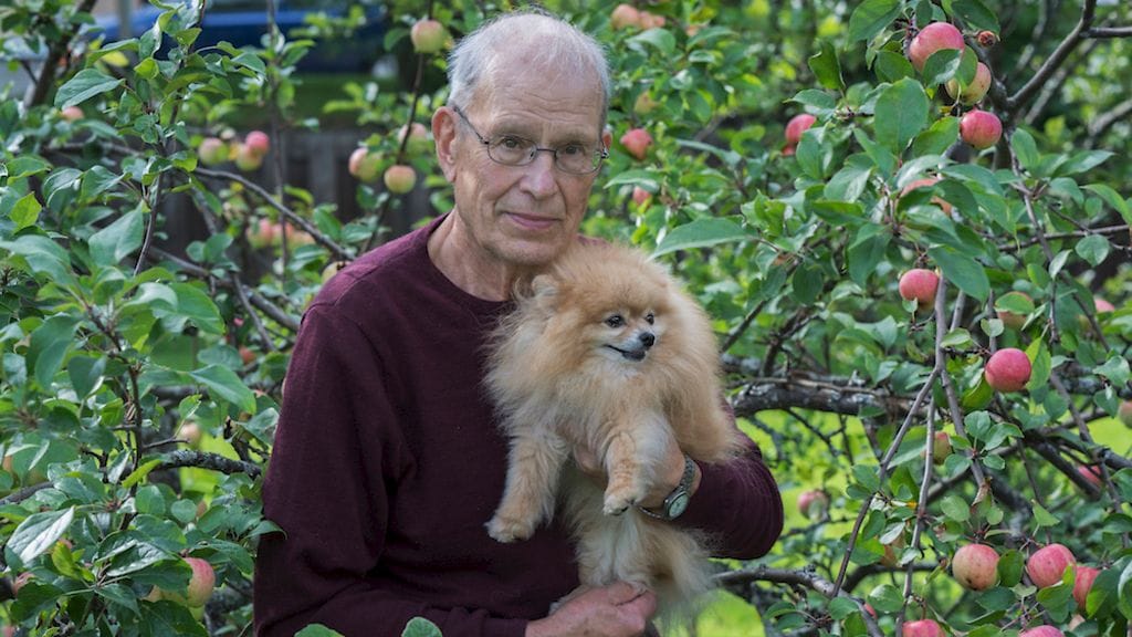 Kokoelmalahjoituksen myötä Tuomo Sepon kokoelmalle muodostuu valtakunnallisesti tärkeä rooli suomalaisen kulttuuriperinnön rakentajana, kertoo museonjohtaja Susanna Pettersson.  Kuvassa myös Mikko-koira.