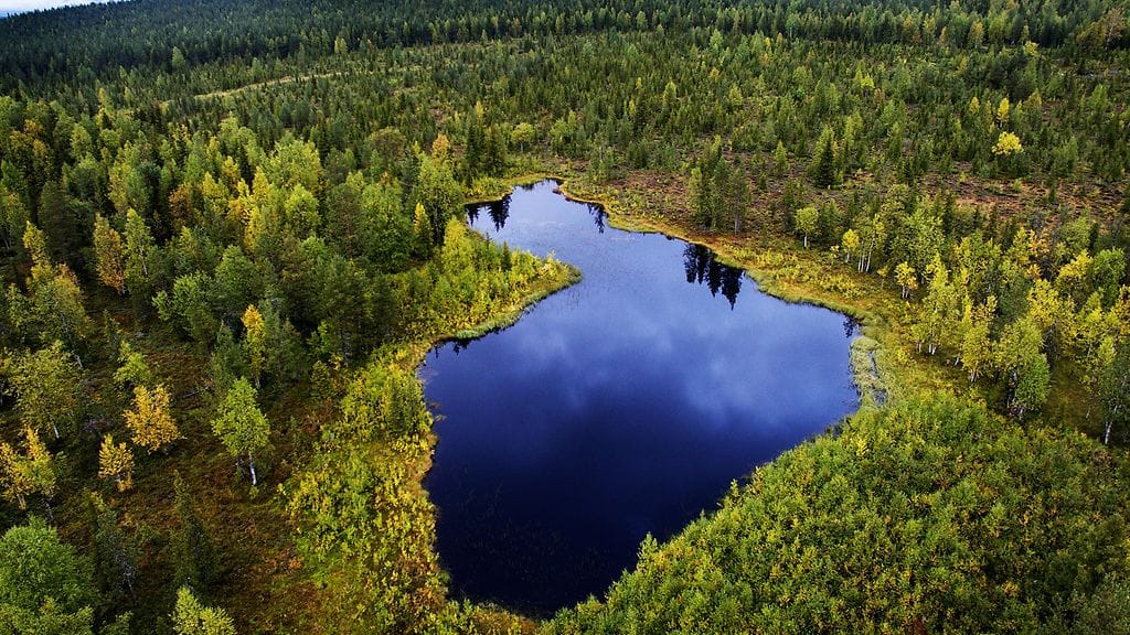 Suomineitonen// Kuvaja Touko Hujanen