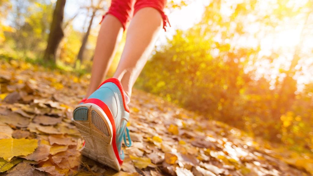 Ylös, ulos ja kävelylle!