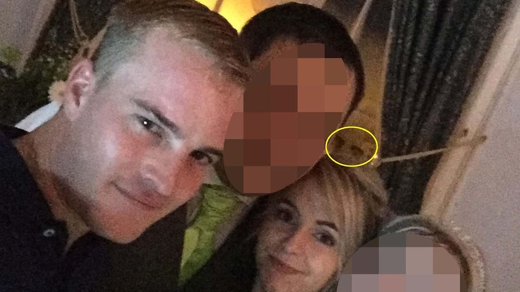 Aave häissä caters