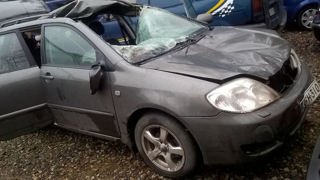 ad07056964ec41e3b7769601528b9052