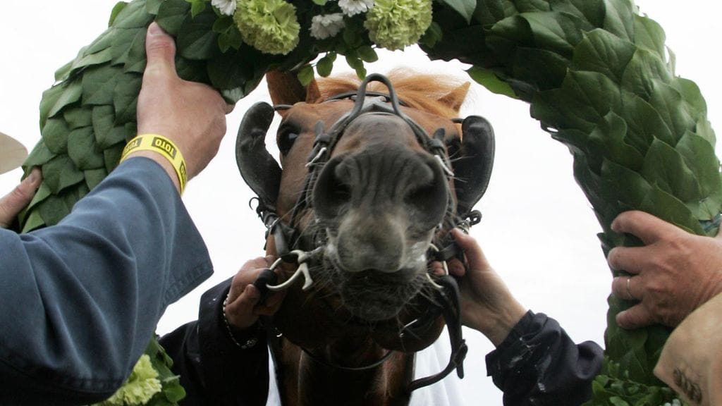 Hullumies saattaa kotiratansa Toto76-kierroksella päästä juhlinnan keskipisteeksi. Tässä tulee kukkaseppele Suur-Hollola-voiton kunniaksi Lahdessa vuonna 2009.