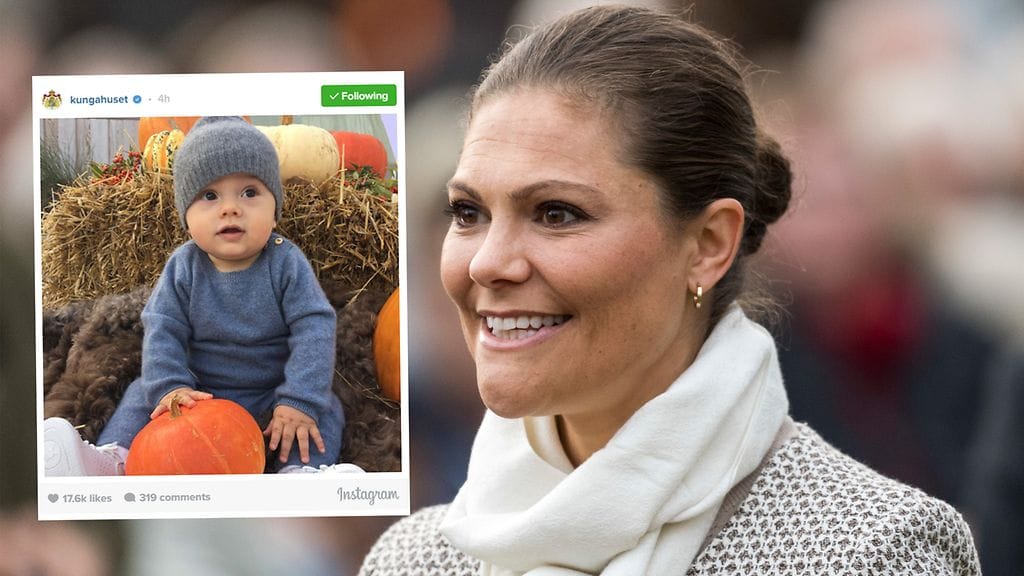 Kruununprinsessa Victoria ikuisti kuopuksensa suloiseen otokseen.