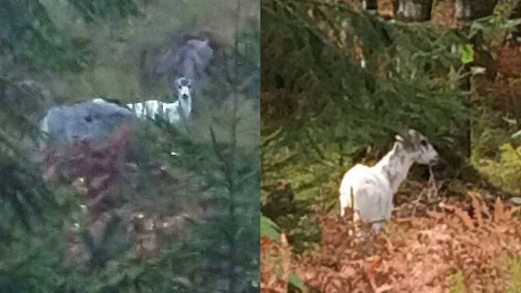 Kuva: Natasha Valtonen.