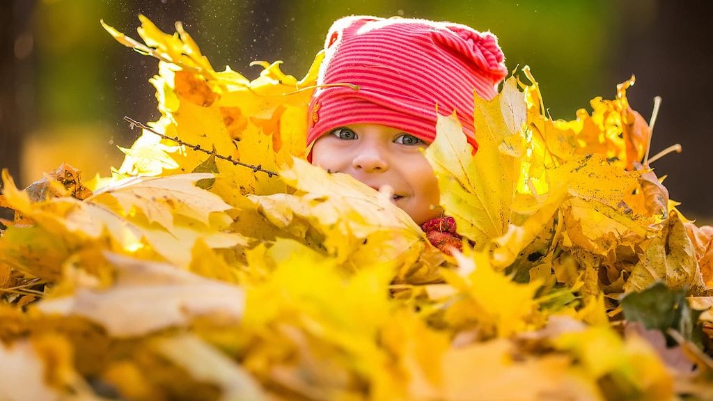 Houkuttelevat lehtikasat voivat sisältää epämiellyttäviä yllätyksiä.