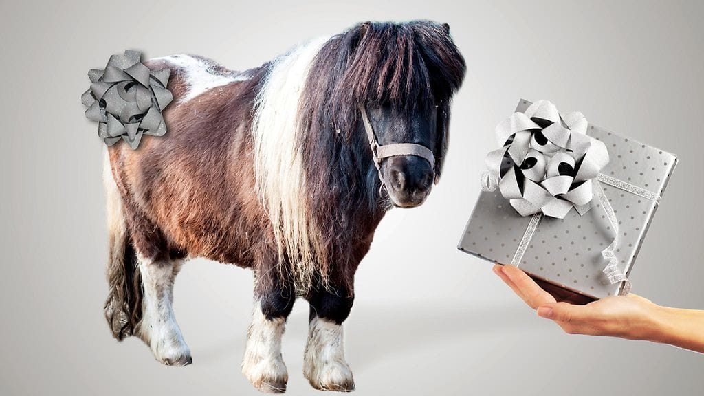 Tonnin lahjavuoren lisäksi lapset saavat yhteisen ponin.