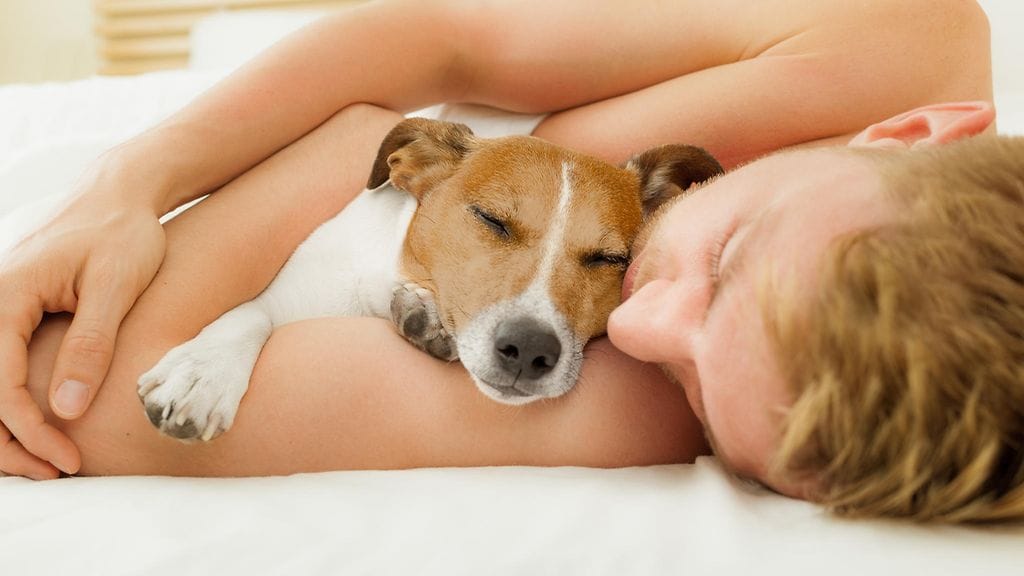 Kaikille hyvä nukkumisjärjestely!