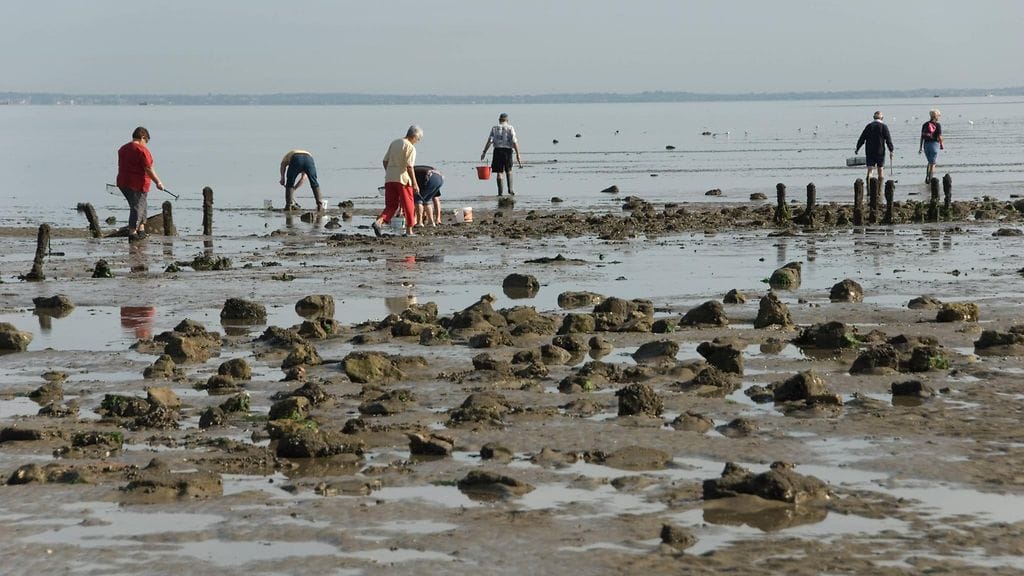 Passage du Gois Ranskassa - tie joka katoaa kahdesti päivässä 6