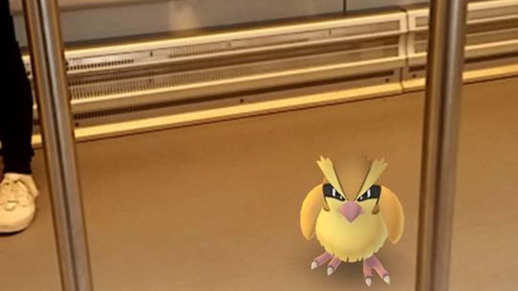 Pidgey seikkaili viime heinäkuussa Helsingin lähijunassa.