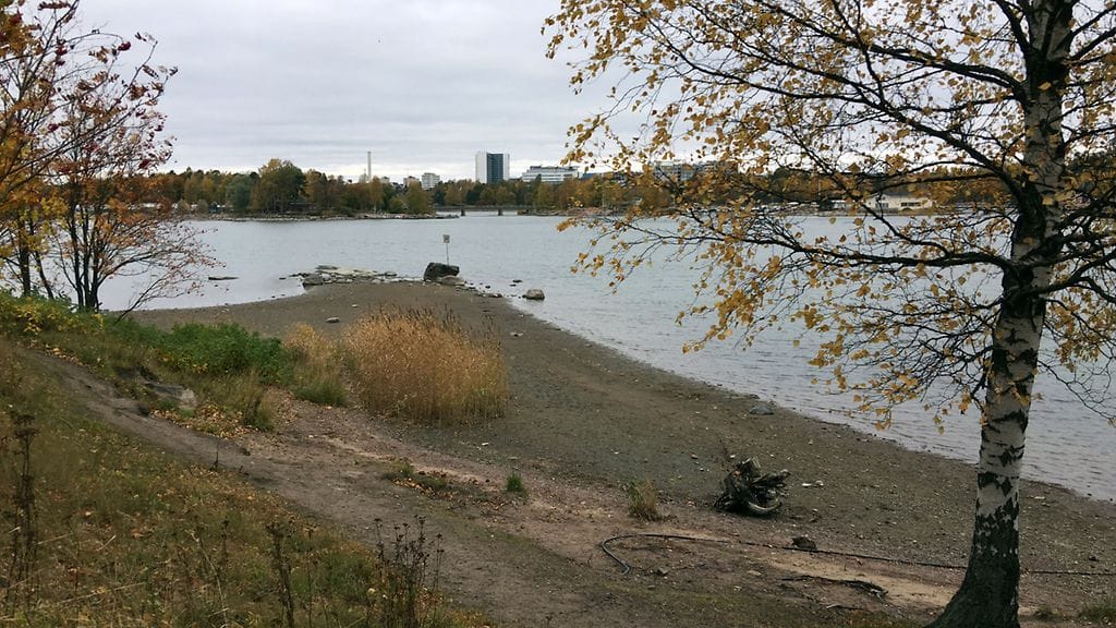 Pääkallo paljastui Taivallahdesta Hietaniemen uimarannan päästä, kun merivesi on alhaalla.