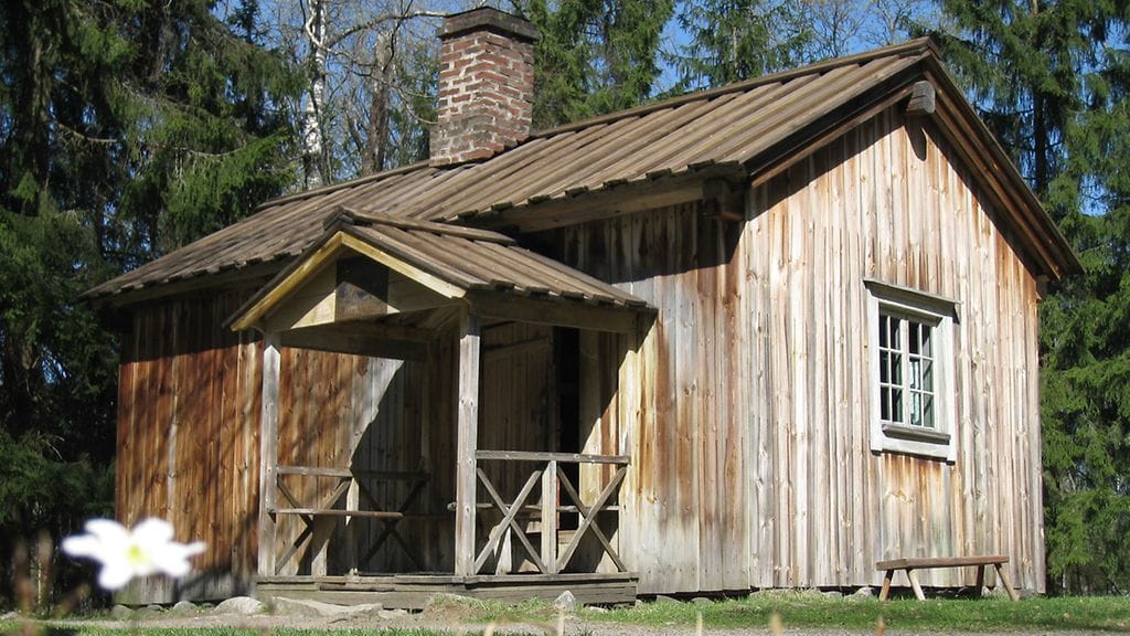 Kivi01 TKärkkäinen