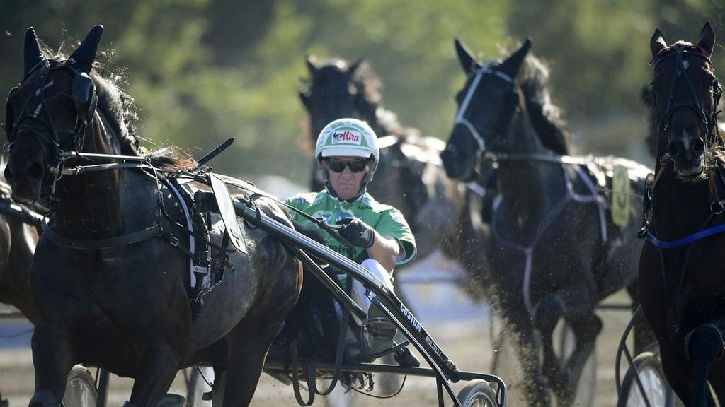 Ari Moilasella on iso rooli paitsi viikon pääraveissa radalla, myös MTV3:n Lauantairaveissa.