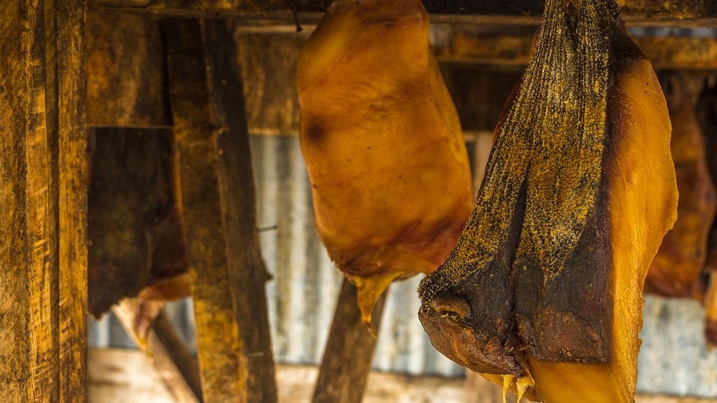 islantilainen perinneruoka mädätetty hai