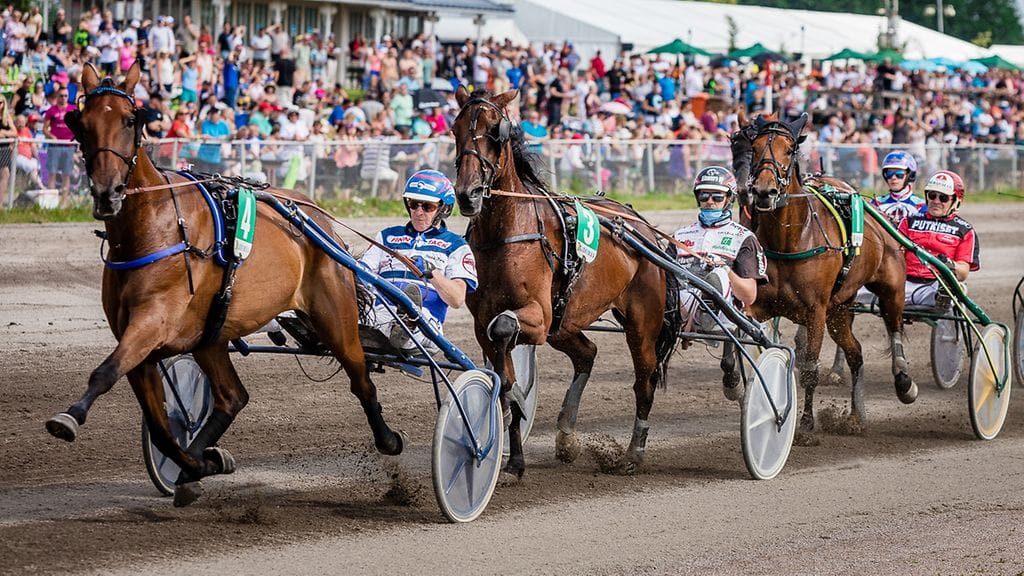 Kilpaa ajetaan 3-4 tunnin raveissa vain 30-40 minuuttia. Siksi Sami Kauhanen näkee erityisen tärkeänä, miten tapahtuma rytmitetään ja miten lähtöjen välit täytetään.
