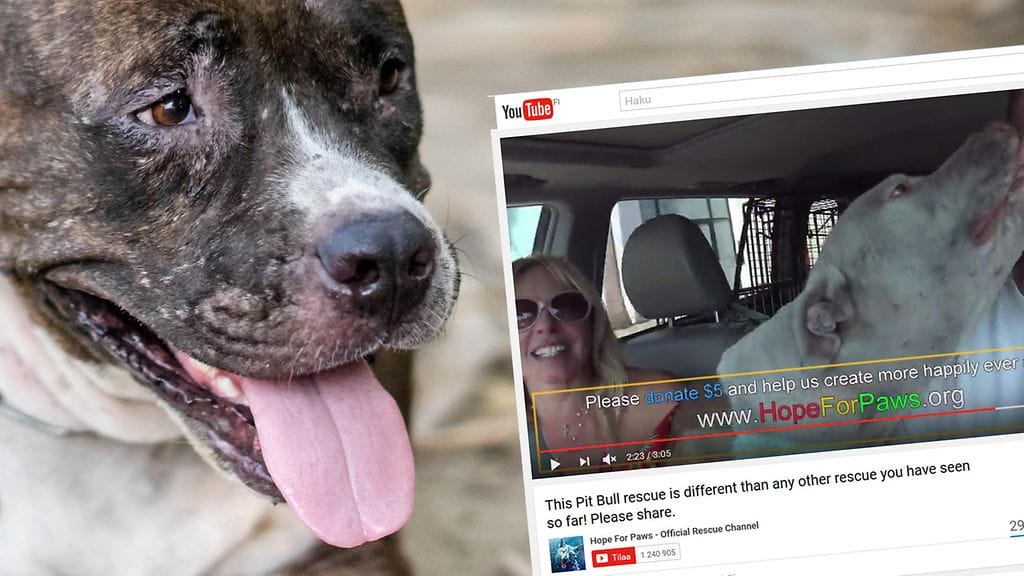 Kuvituskuva, kuvakaappaus Youtubesta