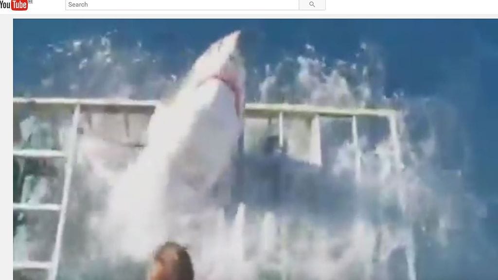 Valtava valkohai on murtautunut sukeltajan sisältäneeseen häkkiin Guadalupen saarella Meksikossa. Kuin ihmeen kaupalla häkissä olleelle sukeltajalle ei käynyt kuinkaan.