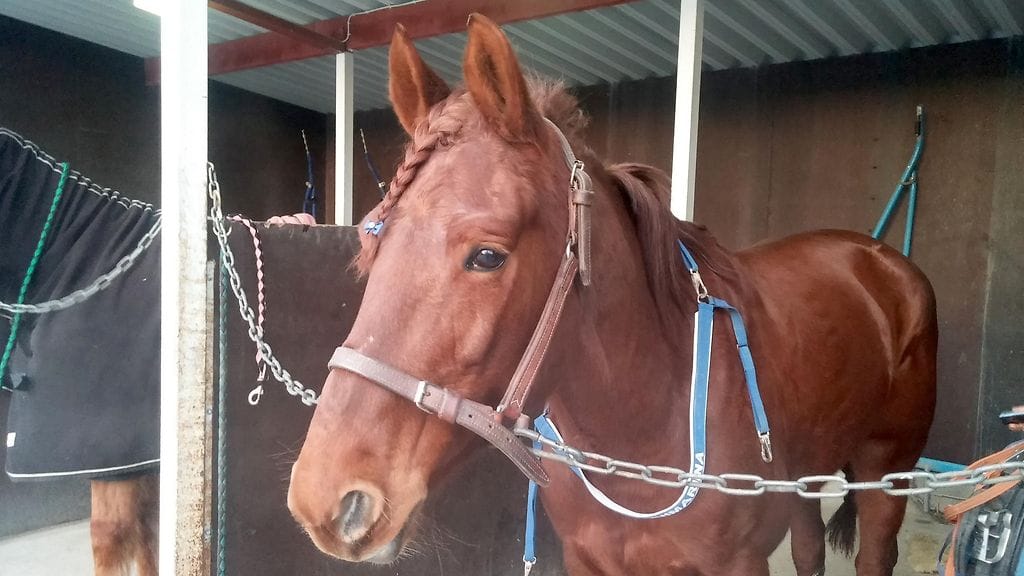 Huimariina pyrkii tänään saavuttamaan Juliette Laxin.