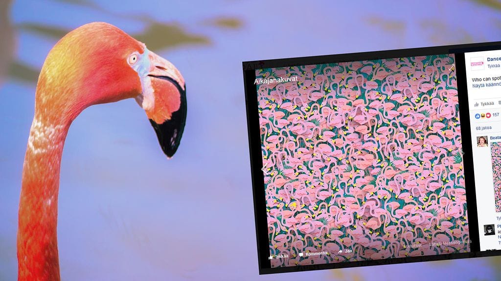 Kuvituskuva, kuvakaappaus Facebookista