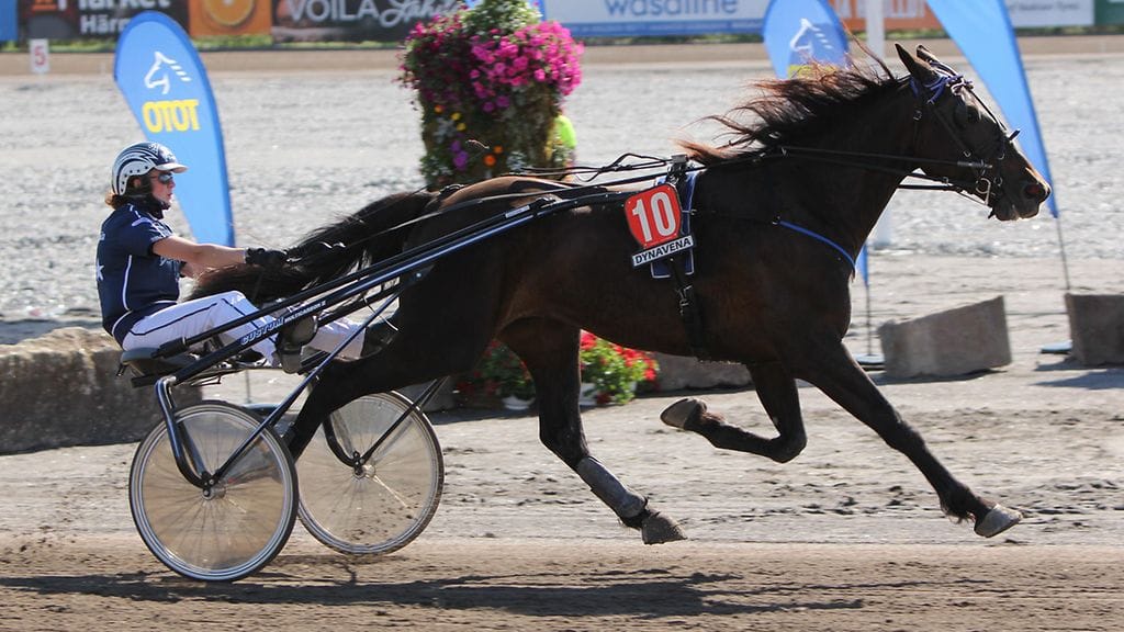 Brown Reclusen ja Emma Väreen ensikohtaaminen päättyi voitonjuhliin Härmässä Nordic King -juhannustapahtumassa.