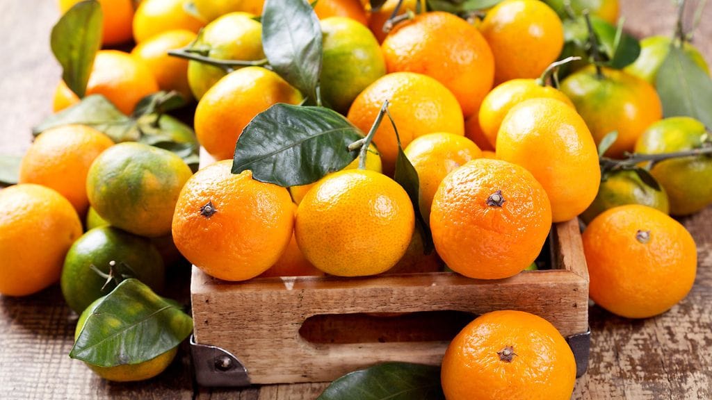 Sitrushedelmiä on montaa eri lajiketta.