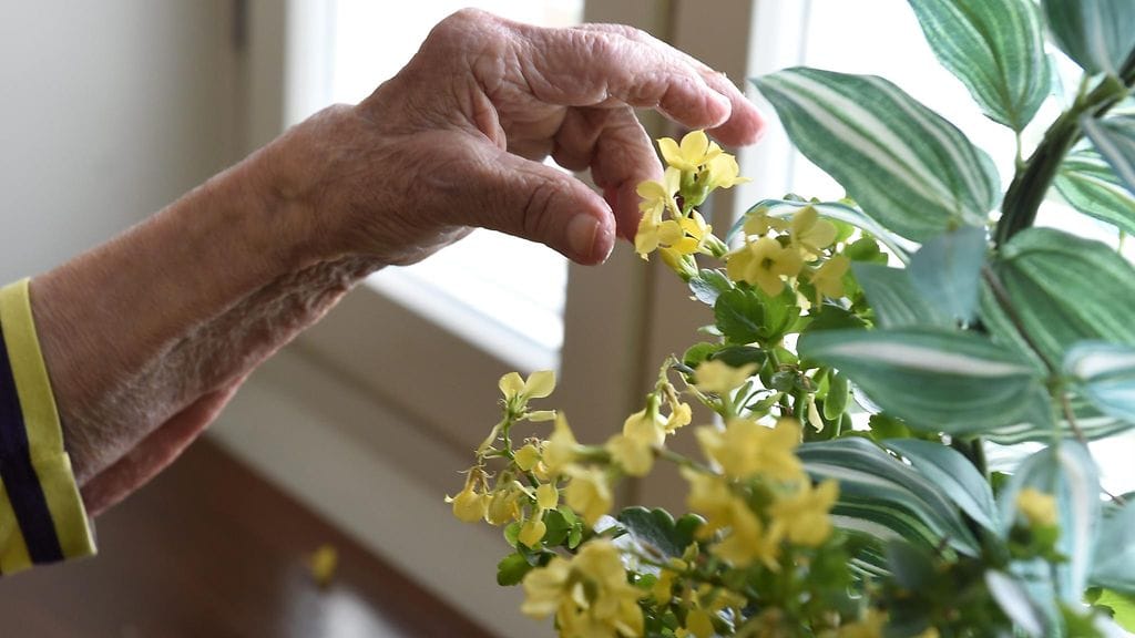 Tyttären mukaan äiti ei uskalla olla yksin enää kotona sen jälkeen, kun huijarit esiintyivät viranomaisina.