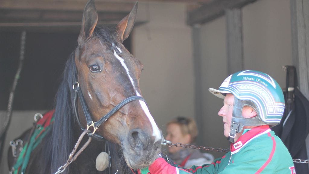 Killerin Raviligahevonen Golden Luxi.