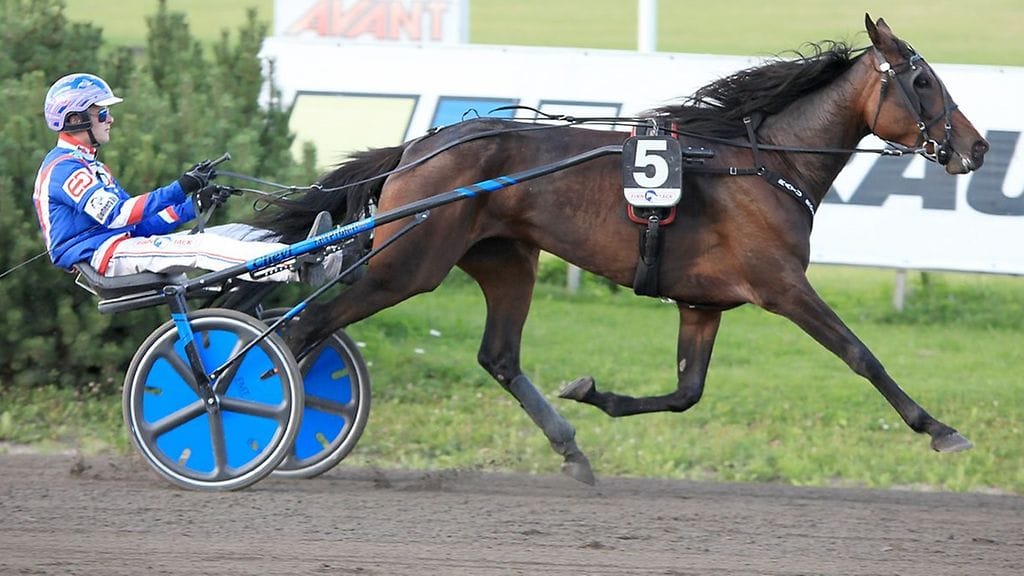 Ratu Royale ja Olli Koivunen Teivo ravit