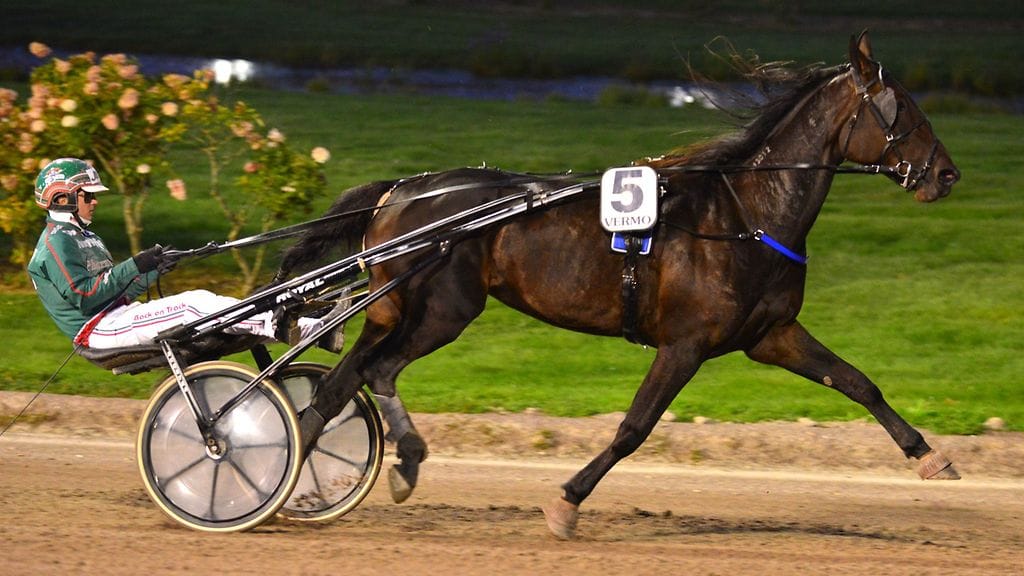 Lovesong tekee parhaimmat juoksunsa keulapaikalta, minne sillä myös tällä kertaa tähdättäneen.