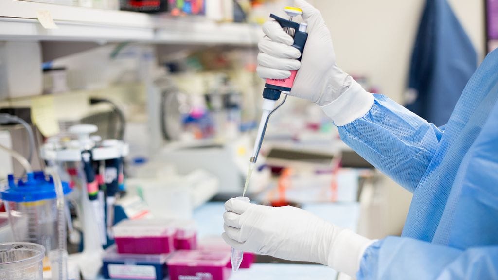 DNA-testit osoittivat naisen olevan lapsilleen ennemminkin täti kuin äiti.