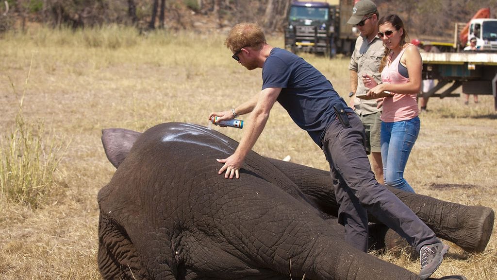 Prinssi Harry Malawilla kesä 2016 1