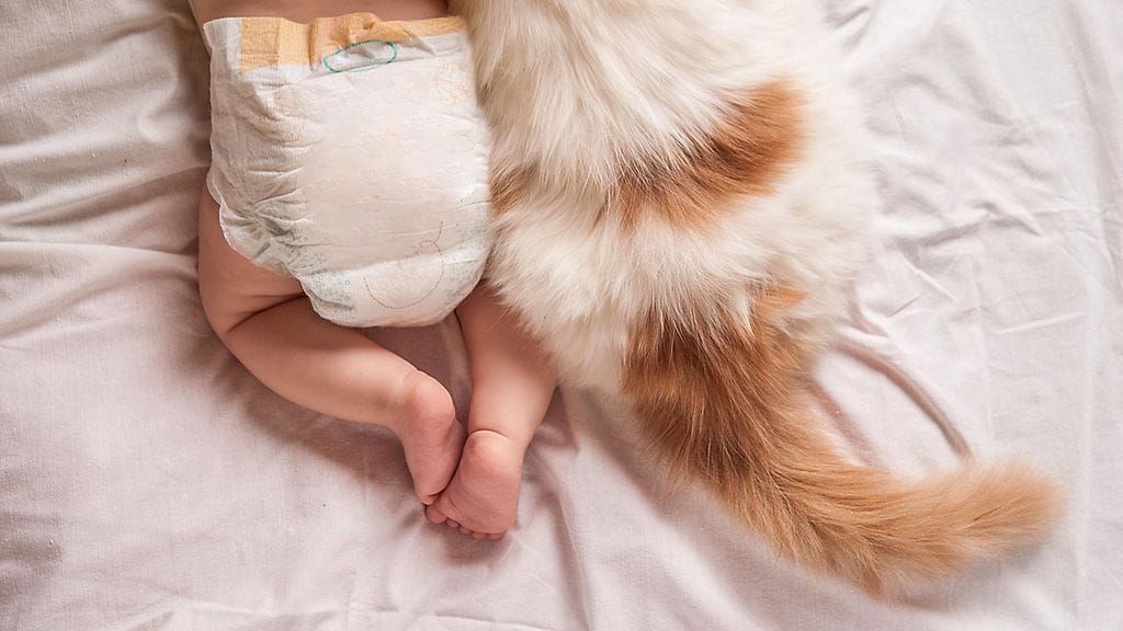 Vakavasti sairaan vauvan vanhemmat uskovat, että kissa aavisti lapsen sairauden heti ensitapaamisesta lähtien.