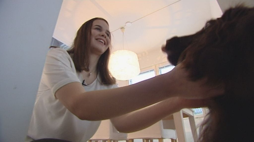 Hypokoiran kehumista