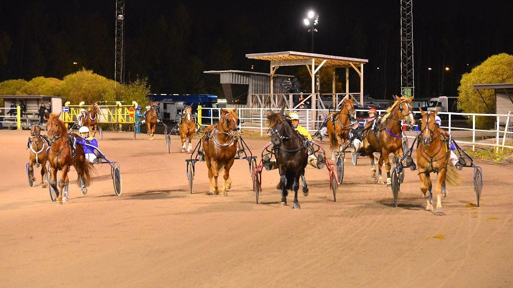 Ravien esittelyt muistuttavat usein siistin jonon sijaan enemmän varpusparvea.