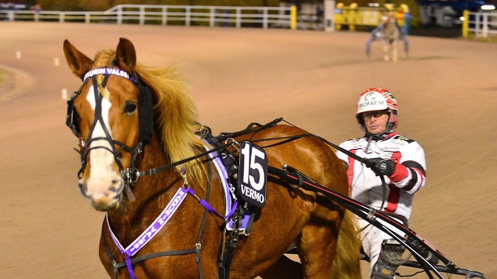 Tapio Perttunen ei istu tänä lauantaina hevosen kärryillä vaan tukevasti studion pöydän takana.
