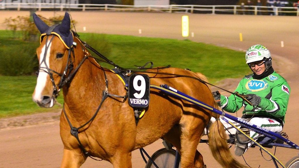 Vuvuzela jahtaa menestystä Vermon Toto65-kierroksella.