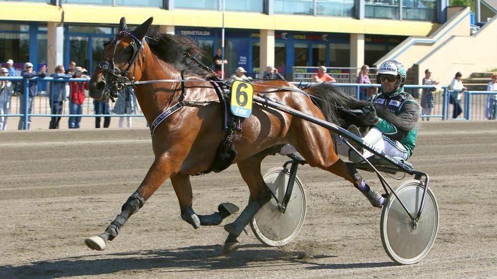 Despina huudatti jälleen kotiyleisöään Kouvolassa.