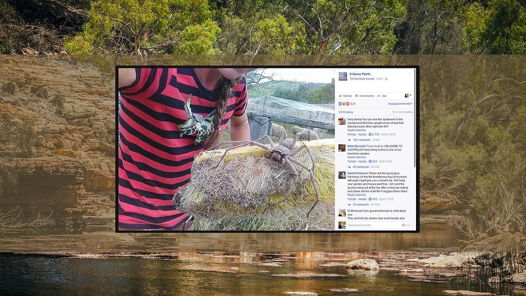 Kuvituskuva, kuvakaappaus Facebookista