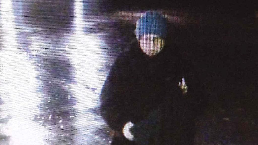 Poliisin turvakamerakuvaa Tuula Vivolinista.