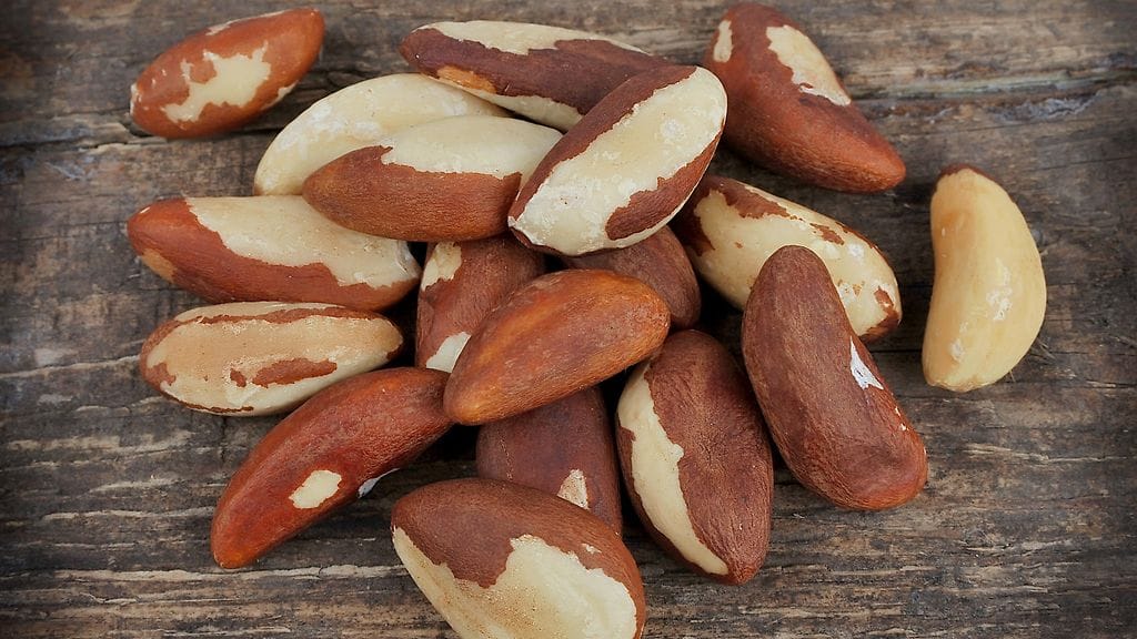 shutterstock_116020594