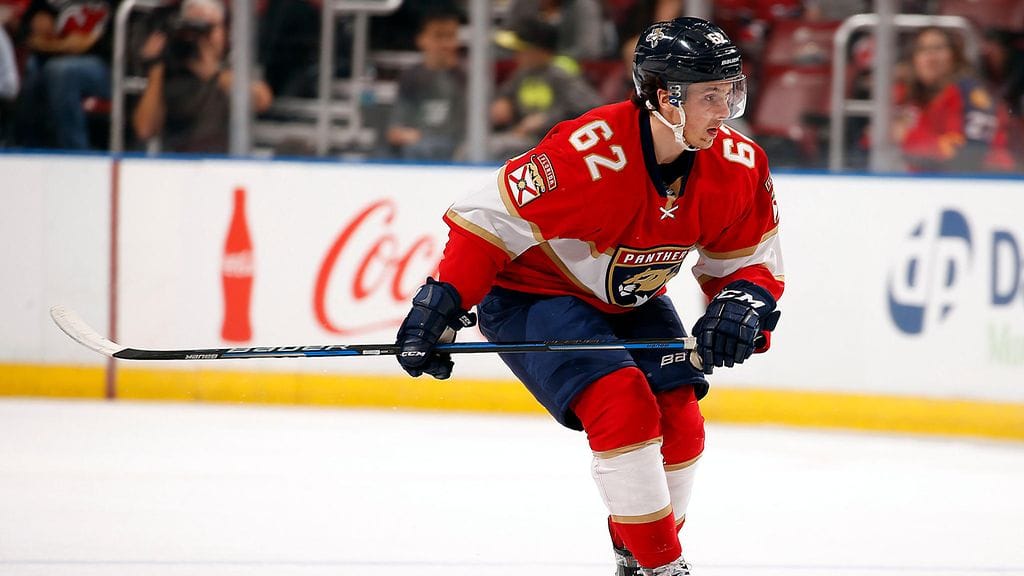 Denis Malgin on vakuuttanut alkukaudella.