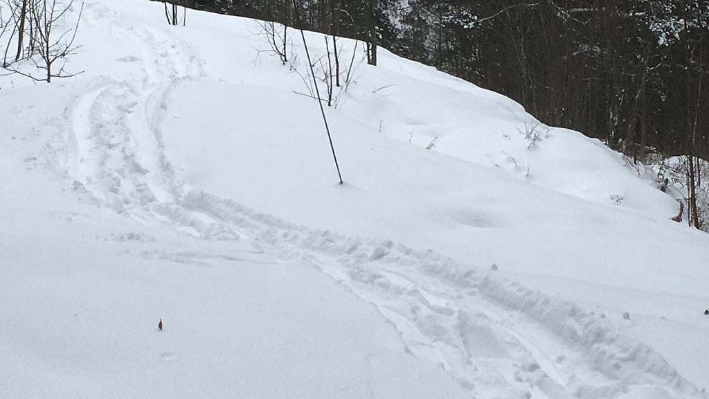 Lunta odotetaan lisää.