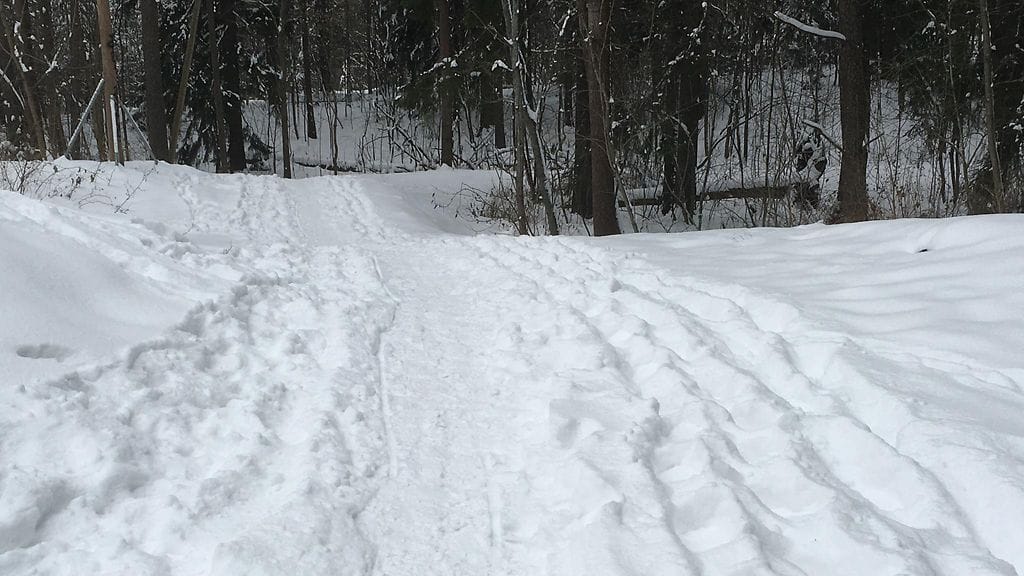 Näin upea on lumimaisema tänään Helsingissä.