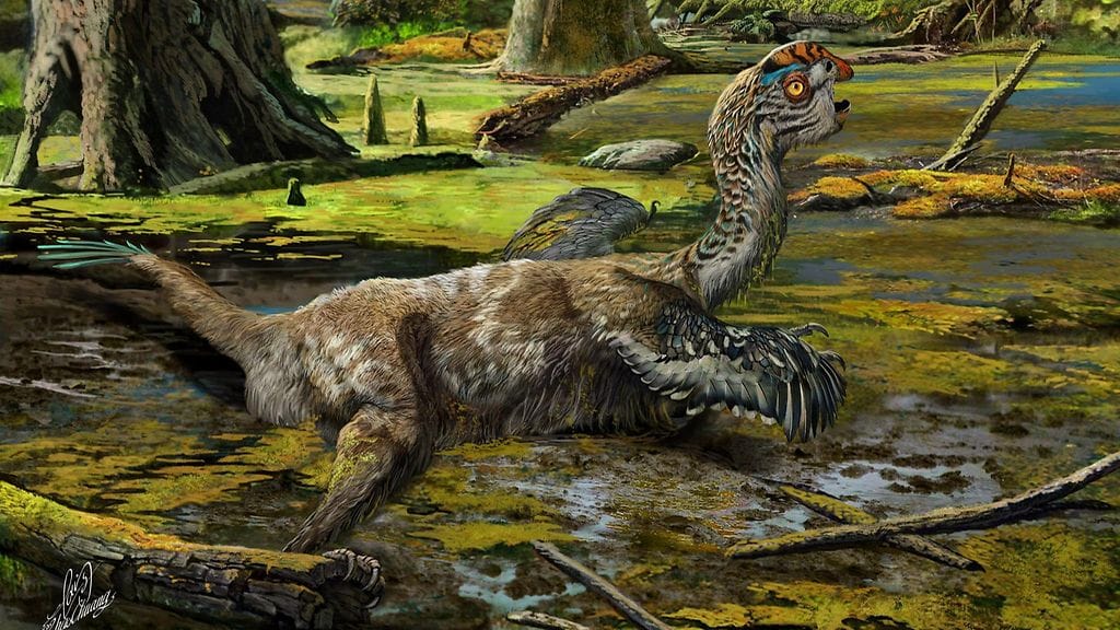 Taiteilijan näkemys mutaan jumahtaneesta lintumaisesta dinosauruksesta.