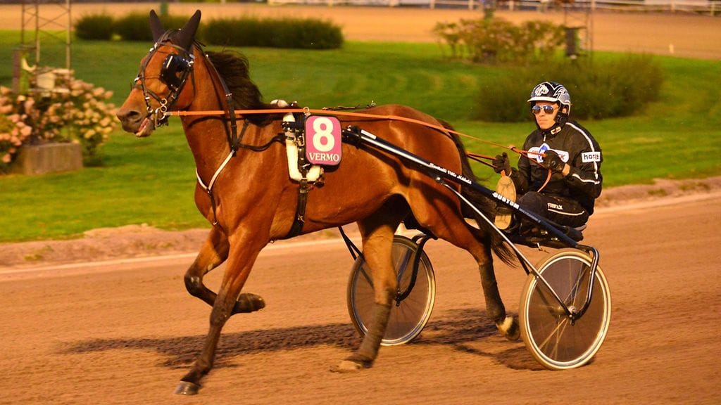 Wilhelm Nash ja Ville Mäkelä.