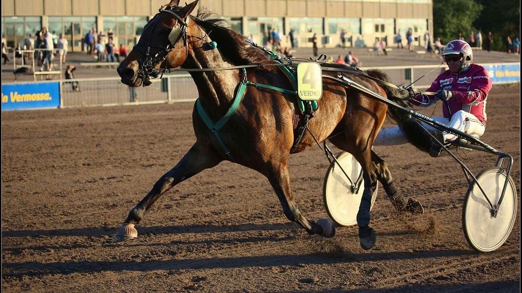 Luxorious Lord jatkaa kauttaan lauantaina Vermon Toto76-raveissa rattaillaan Antti Teivainen.