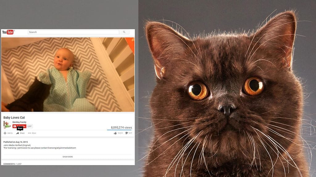 Kuvituskuva, kuvakaappaus Youtubesta