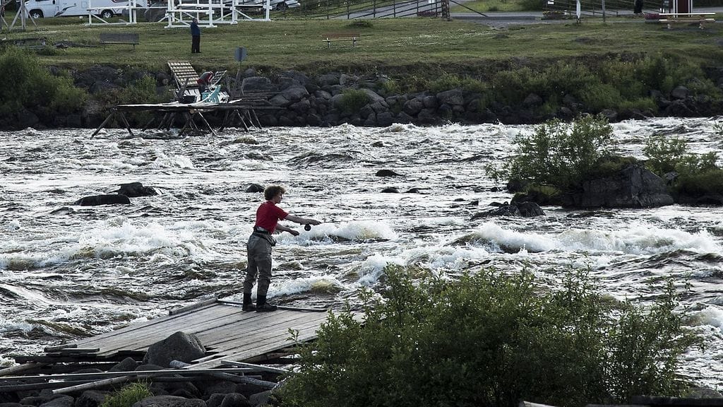 Perhokalastaja Tornionjoen Kukkolankoskella Torniossa Suomen ja Ruotsin rajalla 23. heinäkuuta 2015.