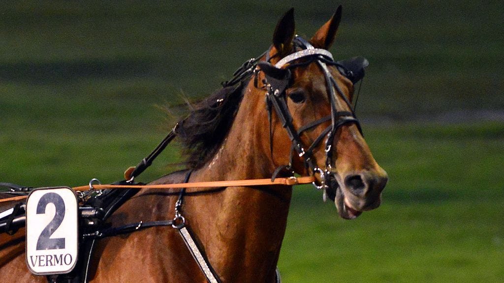 Robin Roof starttaa Toto65-avauskohteessa.