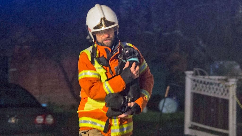 Kuva: Sasu Mäkinen.